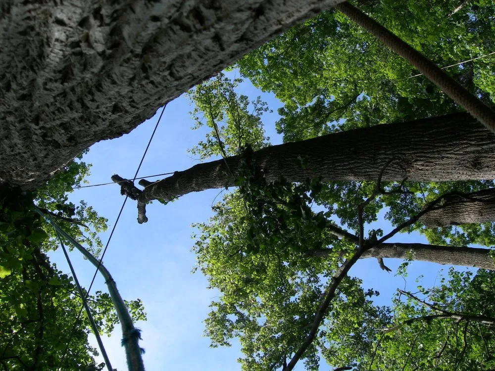 Affordable garden landscaping experts serving Takoma Park, MD - Perez Tree and Landscaping Service