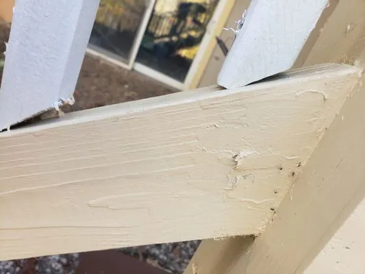 Perez Tree and Landscaping Service