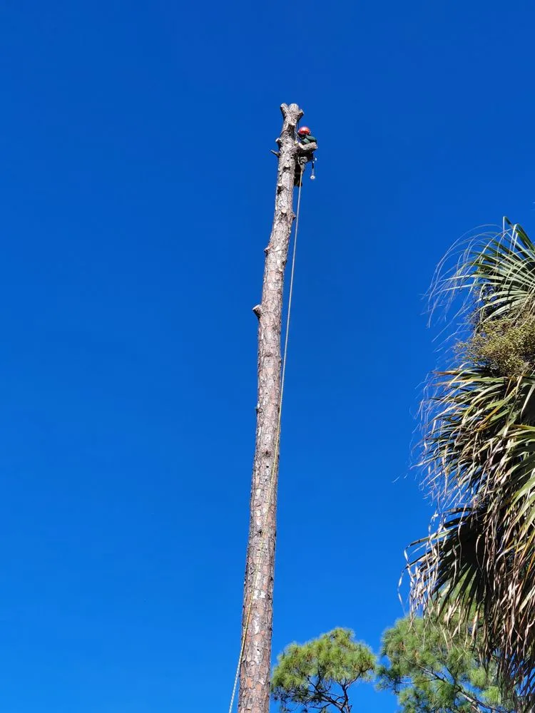 Local garden landscaping in Immokalee, FL by Perez Tree Cut