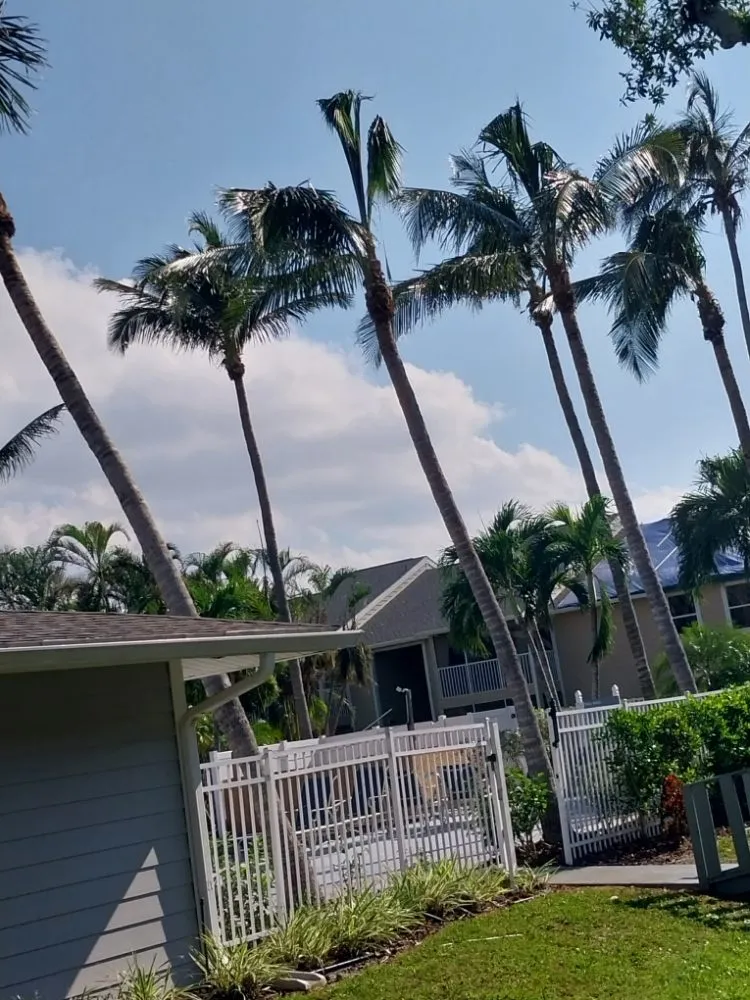 Trusted lawn mowing service near you in Immokalee, FL by Perez Tree Cut