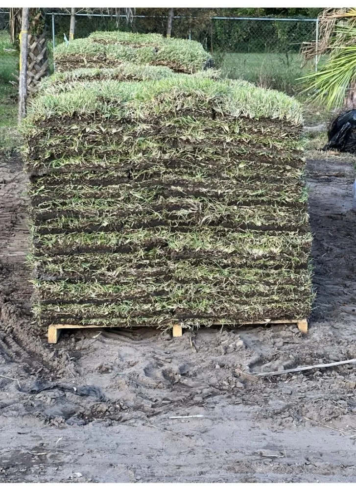 Top-rated landscape installation with custom design in Immokalee, FL by Perez Tree Cut