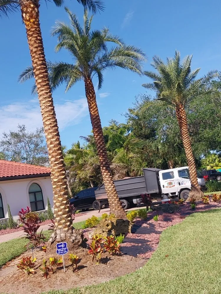 Custom lawn care service in Immokalee, FL - Perez Tree Cut