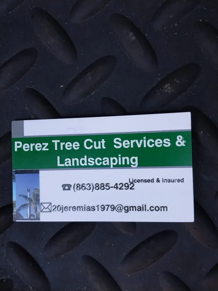 Trusted lawn care service in Immokalee, FL - Perez Tree Cut