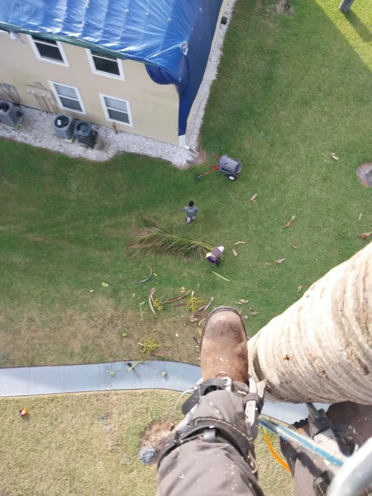 Professional landscape installation in Immokalee, FL by Perez Tree Cut