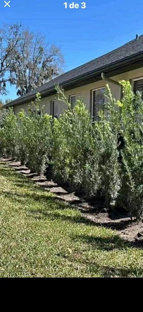 Expert landscape installation for outdoor upgrades in Immokalee, FL by Perez Tree Cut