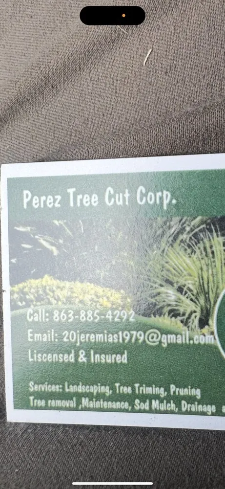 Trusted residential landscaping experts serving Immokalee, FL - Perez Tree Cut