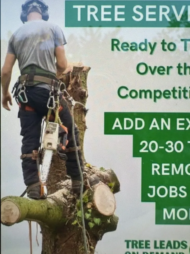 Professional landscape design experts serving Immokalee, FL - Perez Tree Cut