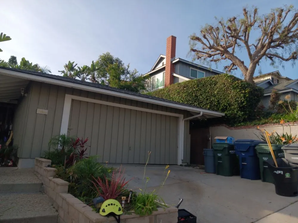 Custom yard maintenance in Bell Gardens, CA by Perez Tree Service