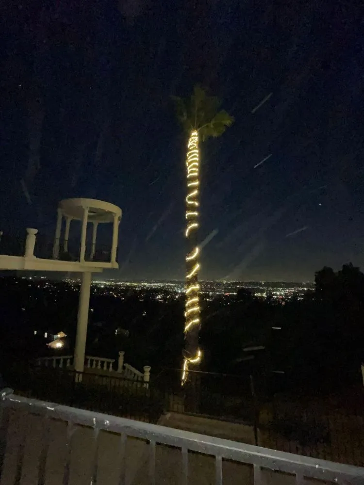 Expert lawn care service in Bell Gardens, CA - Perez Tree Service