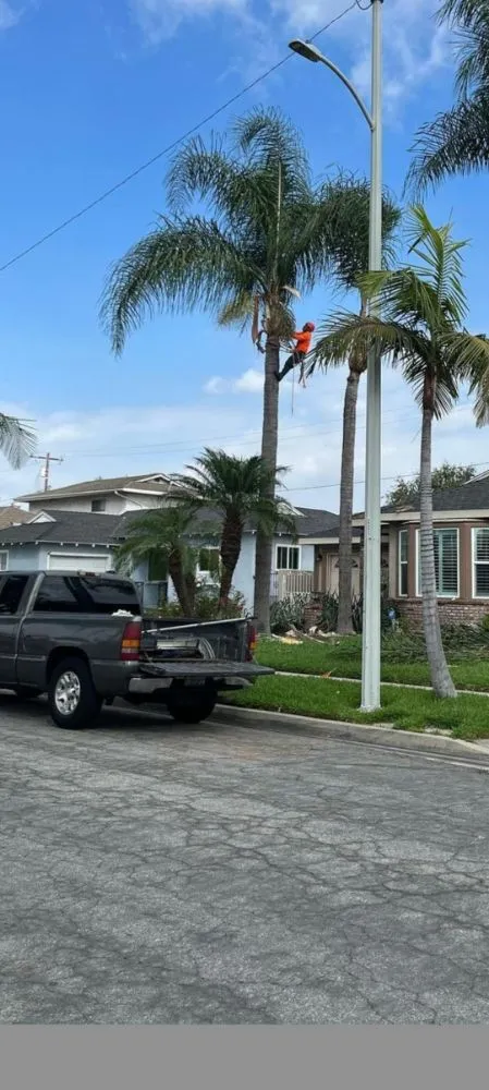 Trusted landscaping services with custom design across Bell Gardens, CA - Perez Tree Service