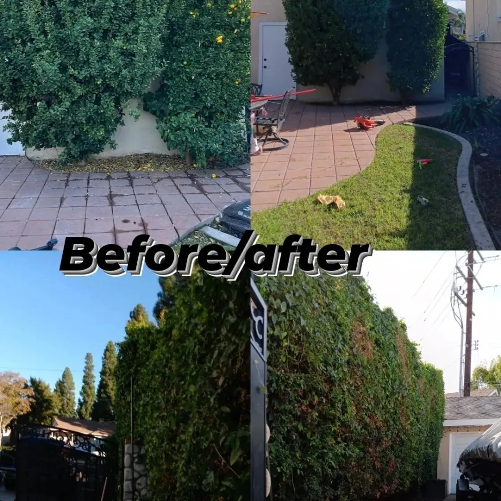Trusted lawn mowing service for beautiful yards in Bell Gardens, CA by Perez Tree Service