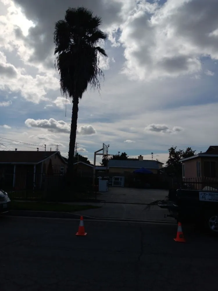 Expert outdoor landscaping near you in Bell Gardens, CA by Perez Tree Service