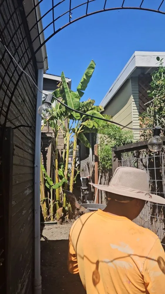 Professional residential landscaping for homes across Oakland, CA - Perez Tree Service