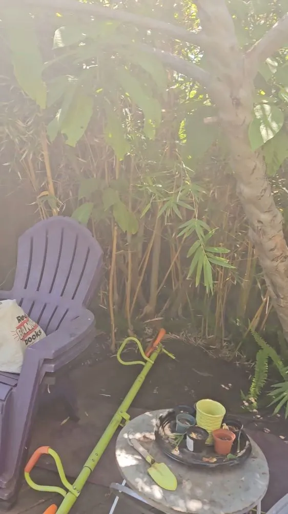 Custom landscape design experts serving Oakland, CA - Perez Tree Service