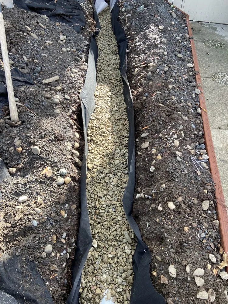 Professional yard cleanup service in Oakland, CA by Perez Tree Service