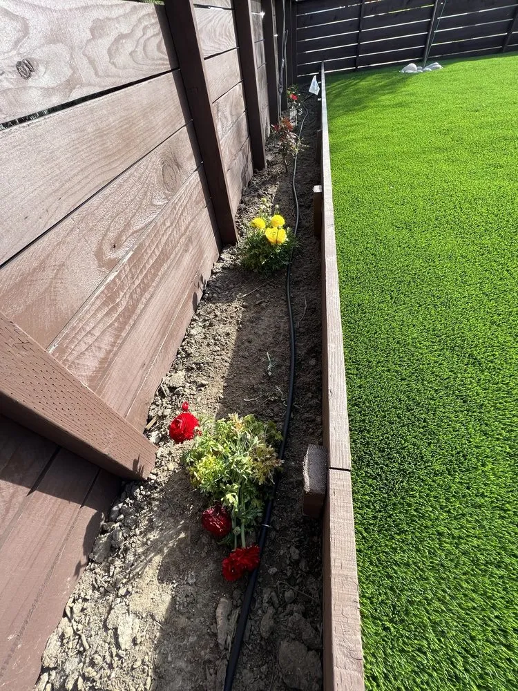 Top-rated yard maintenance for residential properties across Oakland, CA - Perez Tree Service