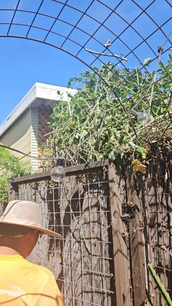 Expert landscape design for beautiful yards across Oakland, CA - Perez Tree Service