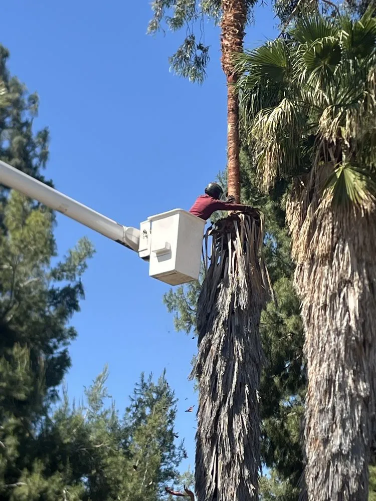 Reliable garden landscaping for residential properties in Perris, CA by Perez tree service