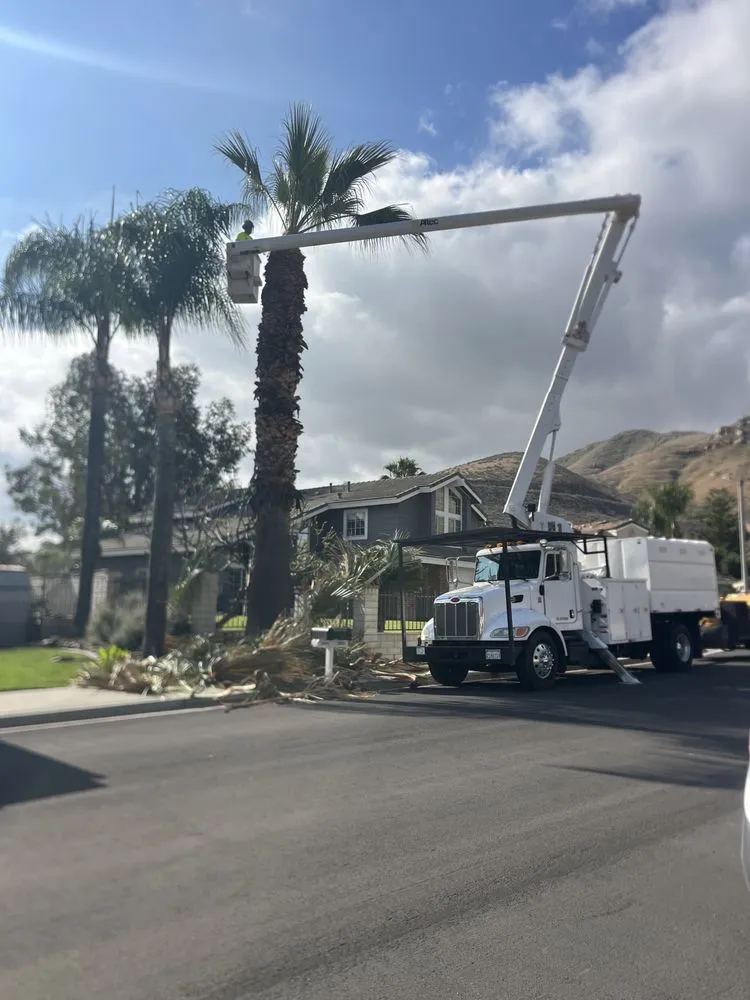 Custom landscape installation for homes across Perris, CA - Perez tree service