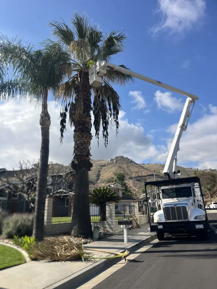 Reliable landscaping services with custom design in Perris, CA by Perez tree service
