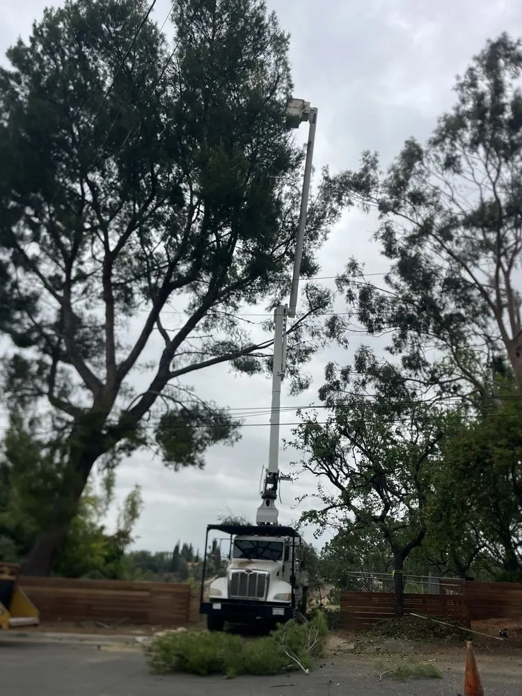 Professional landscaping services in Perris, CA - Perez tree service