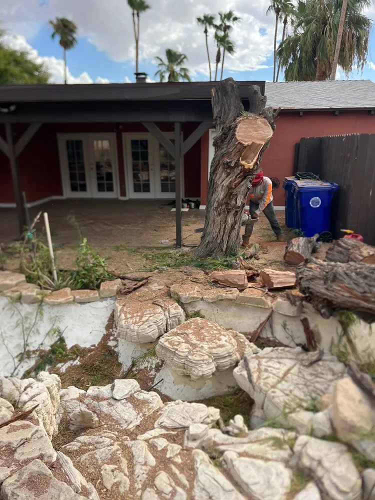 Reliable lawn mowing service in Perris, CA - Perez tree service