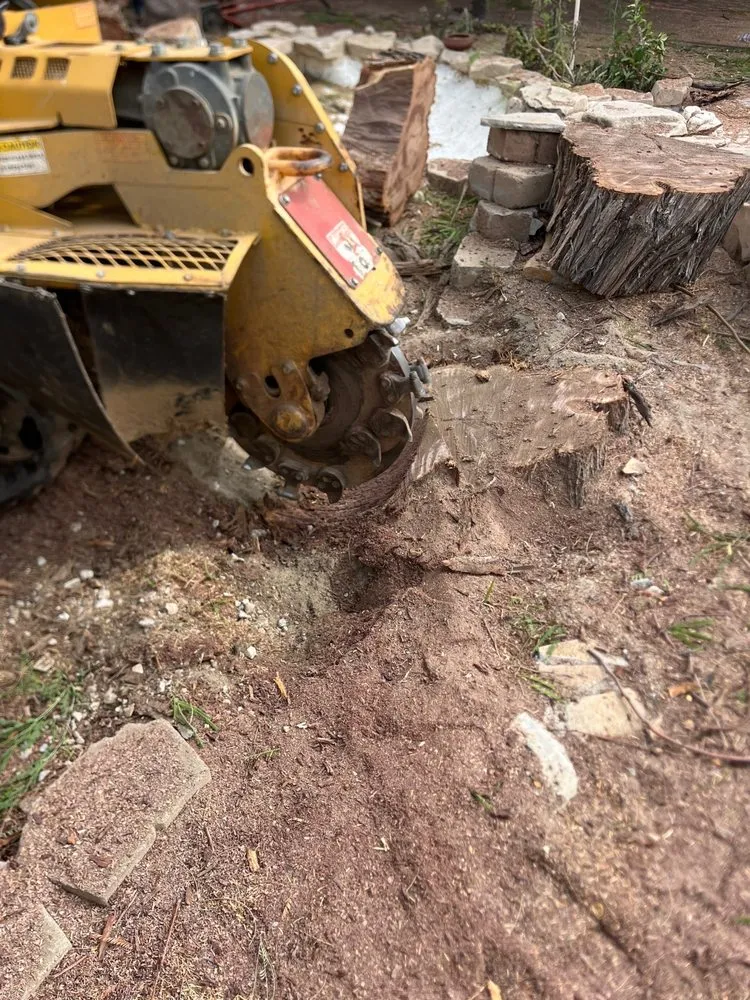 Custom yard cleanup service in Perris, CA by Perez tree service