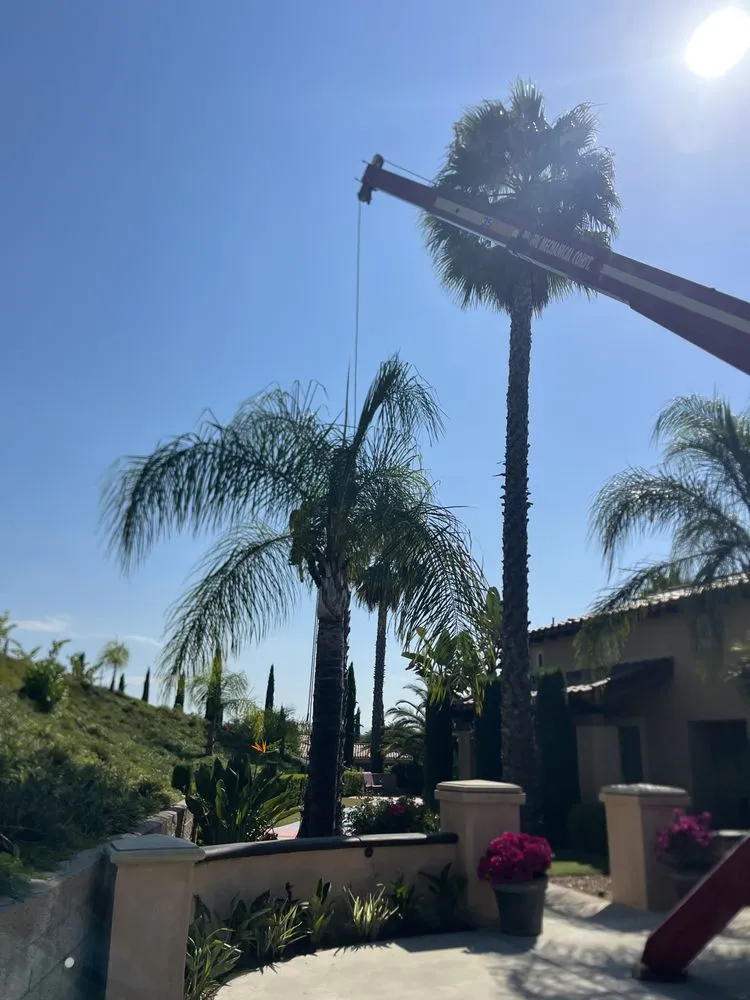 Top-rated garden landscaping for residential properties across Perris, CA - Perez tree service