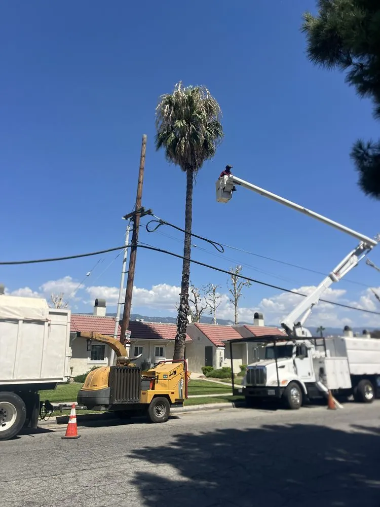 Expert lawn mowing service in Perris, CA - Perez tree service