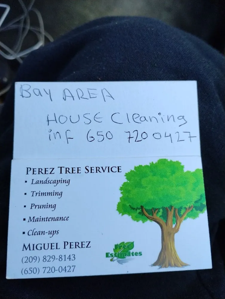 Trusted residential landscaping in South Dos Palos, CA by Perez Tree Service