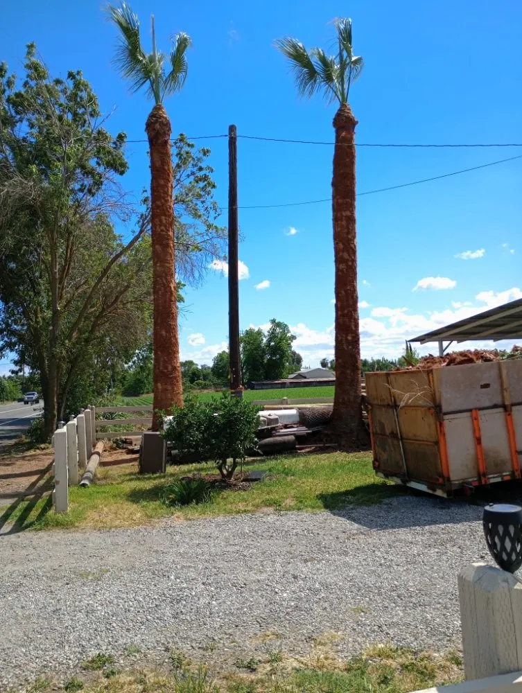 Expert garden landscaping for residential properties across South Dos Palos, CA - Perez Tree Service