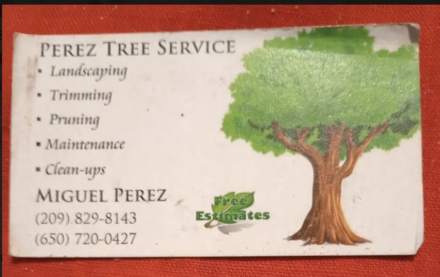 Custom yard cleanup service in South Dos Palos, CA - Perez Tree Service