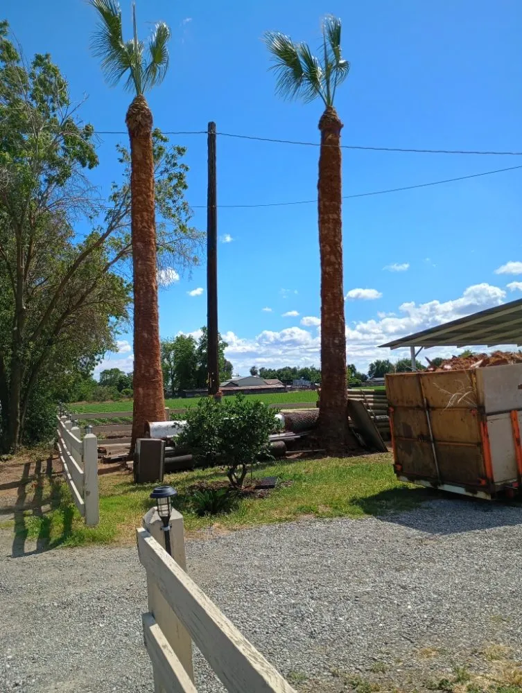 Affordable landscape installation in South Dos Palos, CA - Perez Tree Service