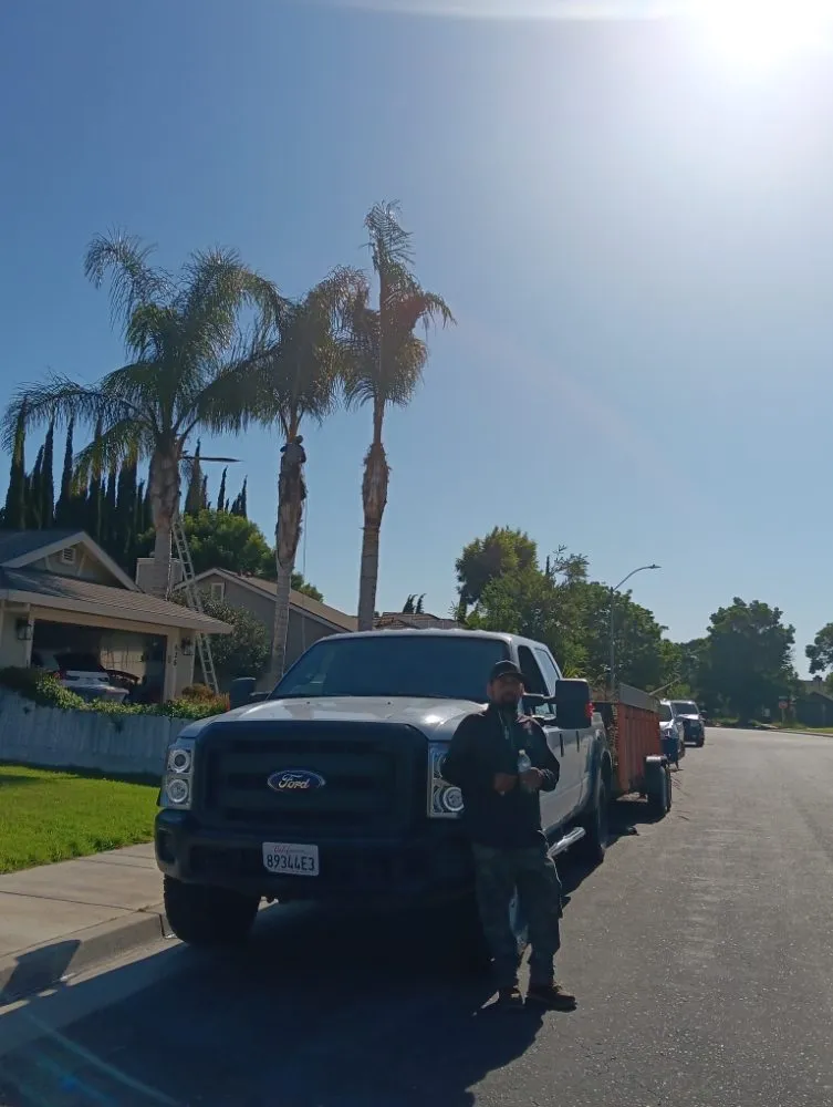 Top-rated landscape installation with custom design in South Dos Palos, CA by Perez Tree Service