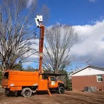 Professional lawn care service in Cleveland, TN - Perez Tree Services