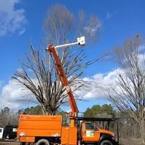 Affordable landscape installation in Cleveland, TN by Perez Tree Services