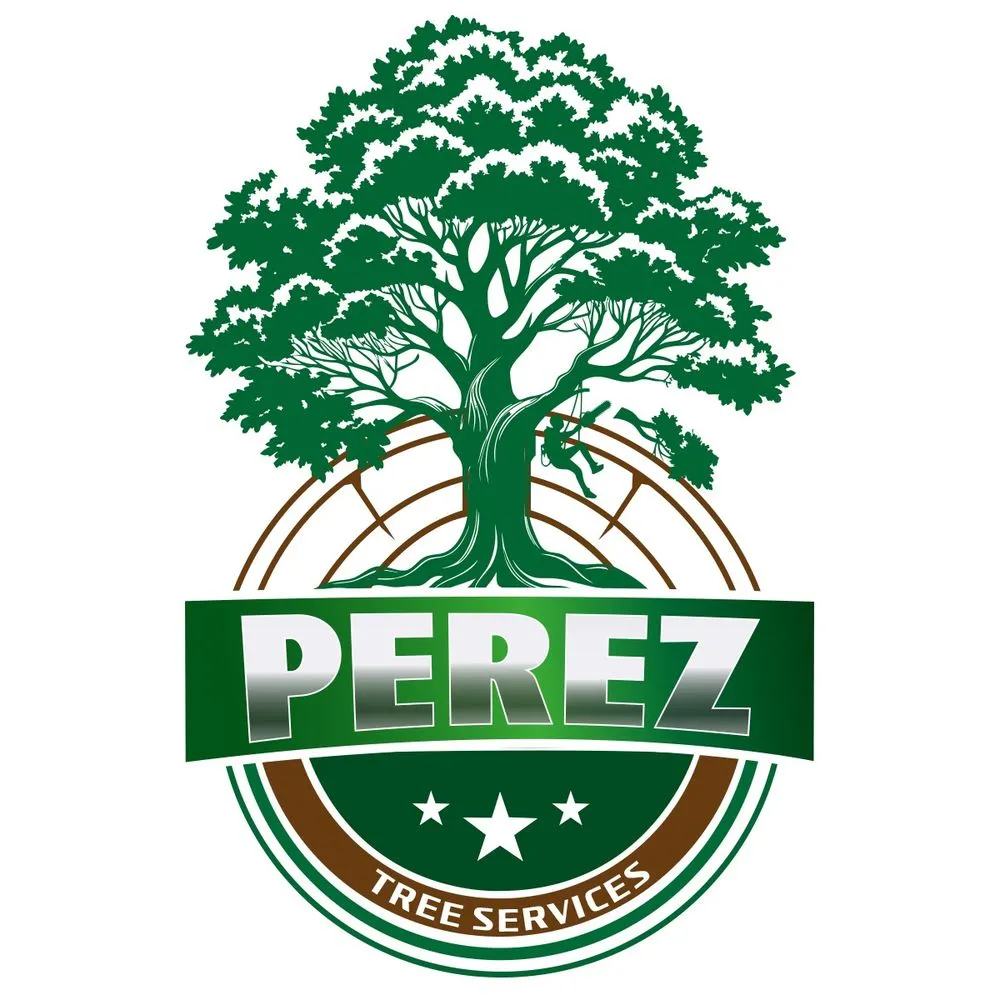 Custom yard maintenance experts serving Cleveland, TN - Perez Tree Services