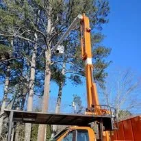 Top-rated landscaping services for homes across Cleveland, TN - Perez Tree Services