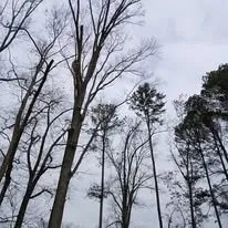 Professional lawn mowing service in Cleveland, TN by Perez Tree Services