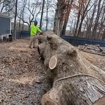 Affordable landscape design in Cleveland, TN - Perez Tree Services