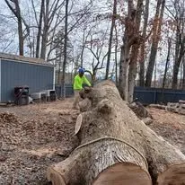 Reliable yard maintenance in Cleveland, TN - Perez Tree Services