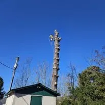 Affordable lawn mowing service for homes across Cleveland, TN - Perez Tree Services