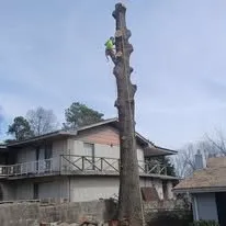 Top-rated landscape installation for residential properties across Cleveland, TN - Perez Tree Services