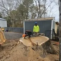 Affordable lawn mowing service in Cleveland, TN - Perez Tree Services