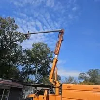 Trusted yard cleanup service in Cleveland, TN by Perez Tree Services