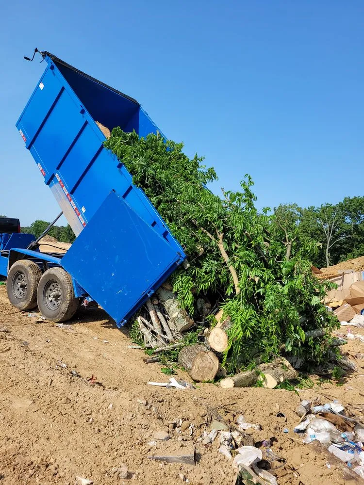 Expert landscape installation in Cleveland, TN - Perez Tree Services