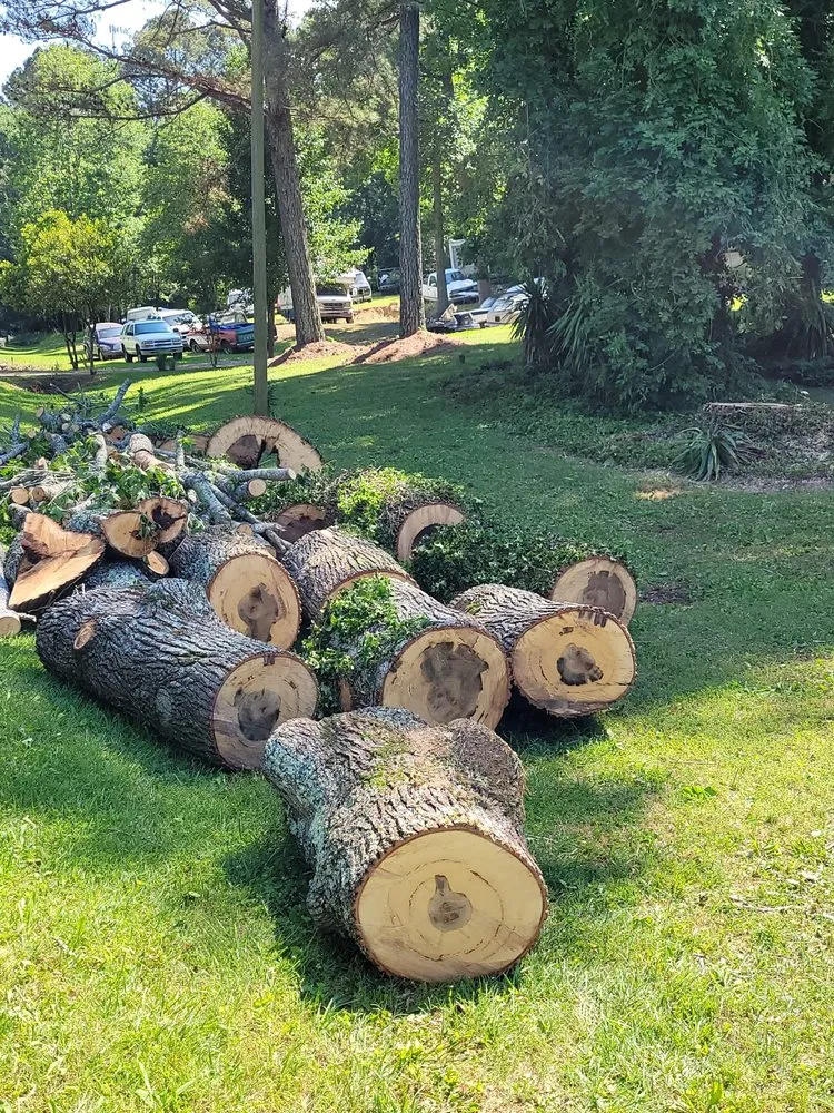 Top-rated lawn mowing service for beautiful yards across Cleveland, TN - Perez Tree Services