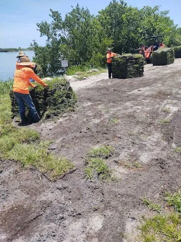 Professional yard cleanup service with custom design in Arcadia, FL by Perez Trucking & Sod