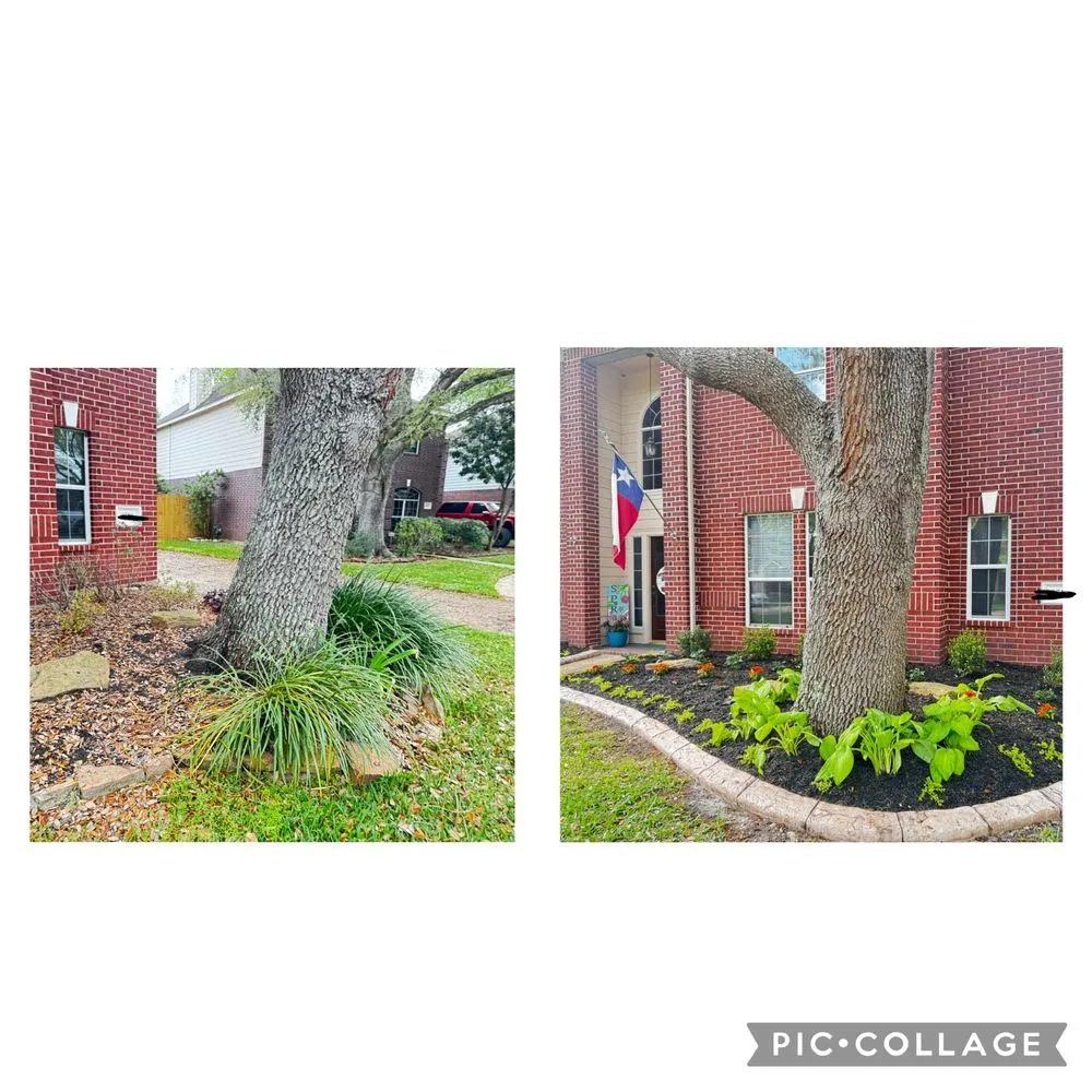 Reliable yard cleanup service experts serving Needville, TX - Perezidente Elite Services