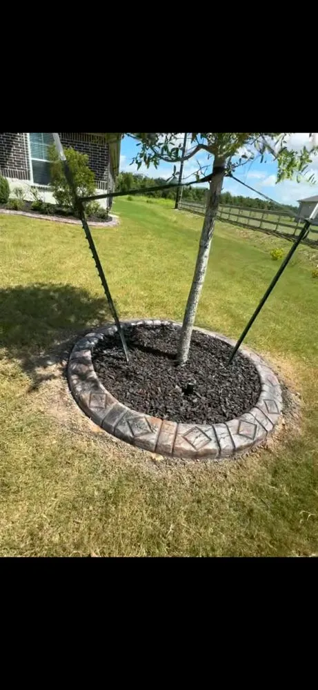 Trusted yard cleanup service in Needville, TX - Perezidente Elite Services